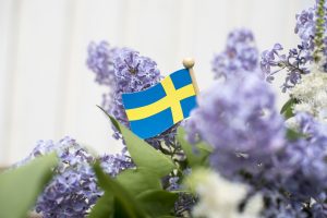 Lila syrener och en svensk liten träflagga
