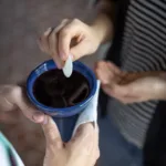 Brödet paddas i vinet